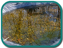 water-on-top-of-pool-cover