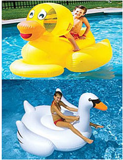 funny inflatables for the pool