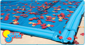 best way to get leaves out of pool