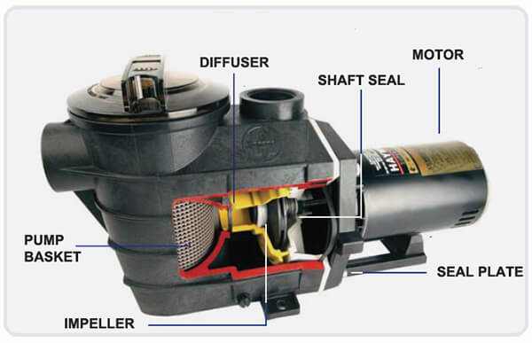 swimming pool pump motor