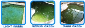 shocking algae in pool