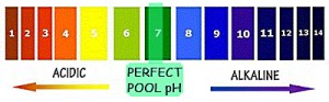 Pool pH & Alkalinity Tips for Pool Owners | InTheSwim Pool Blog