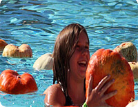 dive-for-pumpkins