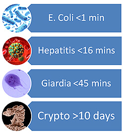 kill-rate-for-bacteria-in-pools - intheswim image