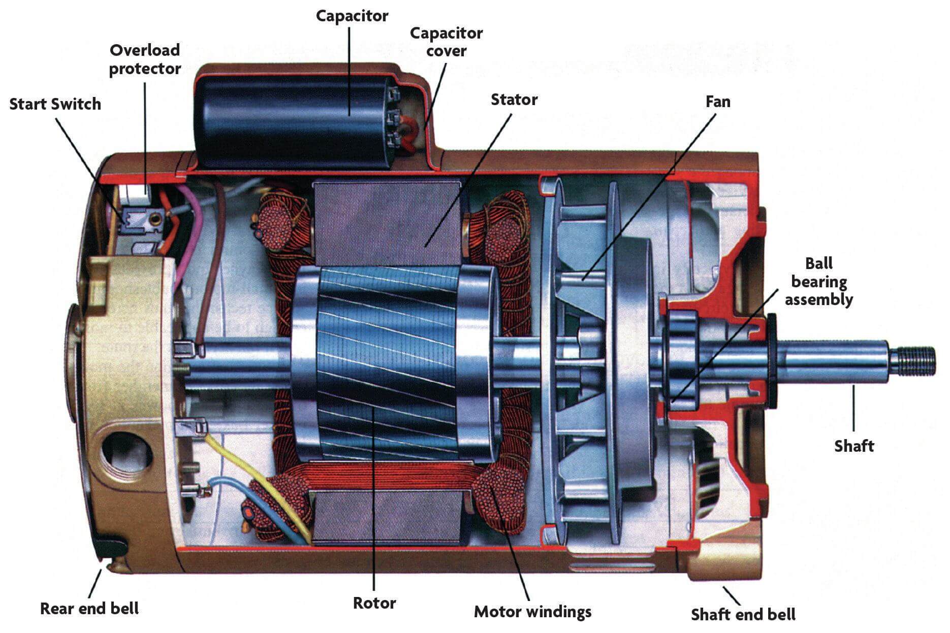 Swimming Pool Pump Motors Deconstructed - In The Swim Pool Blog