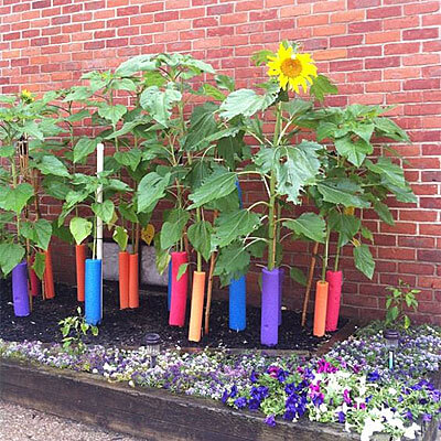 Pool Noodle Garden Stakes to support young plants, from Faithtap.com