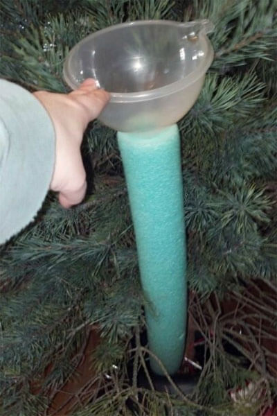 Pool Noodle Christmas Tree Watering Tube, by Ashley Langston, via pinterest