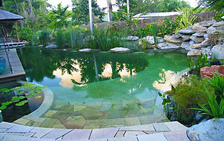 natural swimming pond diagram