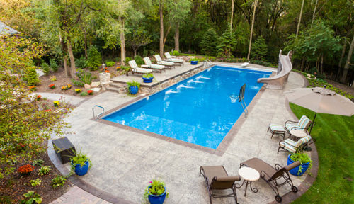 Best & Worst Trees to Plant Around a Pool - In The Swim Pool Blog