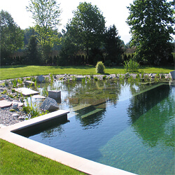 natural-pool-with-natural-filtration-bed-adjacent | InTheSwim Pool Blog