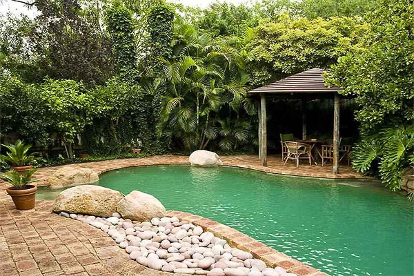 Image via casaydiseno.com. Pool Design Style: Jungle