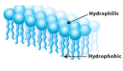liquid-solar-blanket-molecules