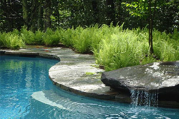 Shepard Butler Landscaping. Pool Design Style: Tropical