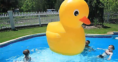 keep ducks out of pool