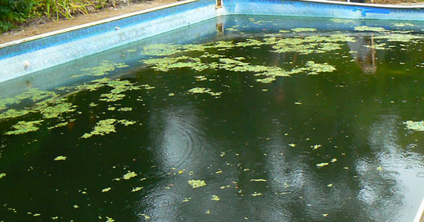 best way to clean a vinyl pool