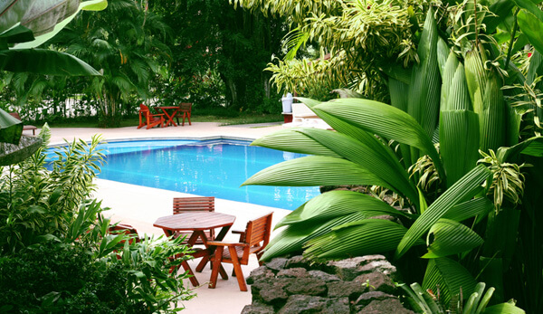 Hiding pool pump and filter with landscaping - image by istockphoto
