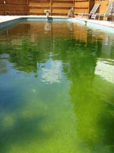 light green pool water after shocking