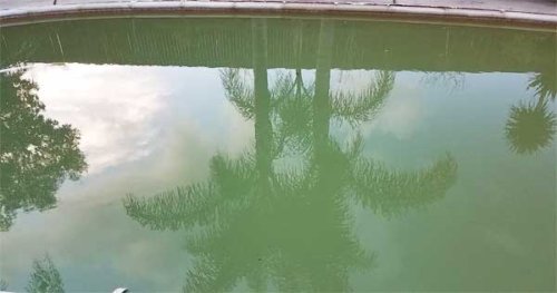 rain turned my pool green