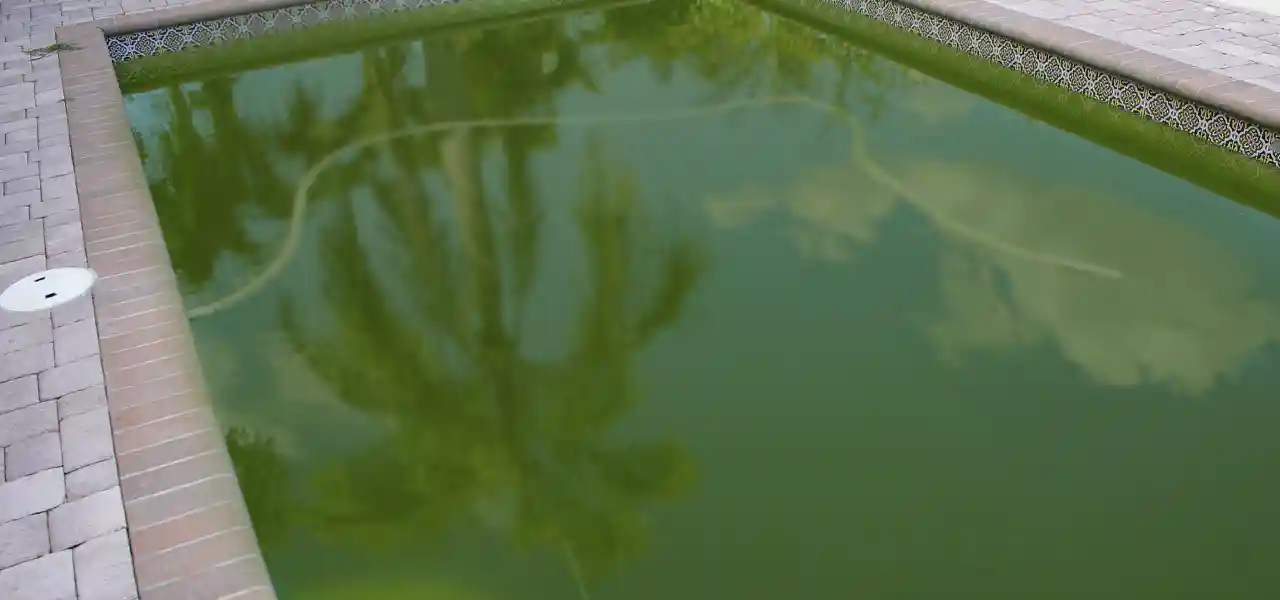 Help for Dark Green Algae Filled Pools