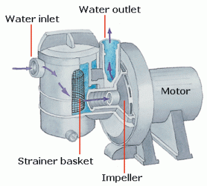 swimming pool filter motor