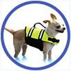 pet-safety-life-vest-for-dogs (1)