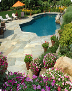 Poolscaping - Planting a Poolside Garden - In The Swim Pool Blog