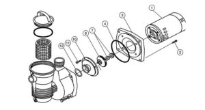 pool pump ring