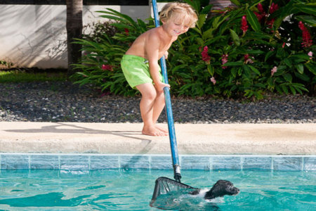 keeping kids pool clean