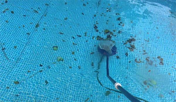 clean leaves out of pool