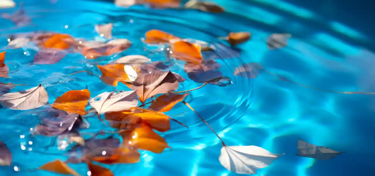 Has Fall Landed in your Pool? Extreme Leaf Removal