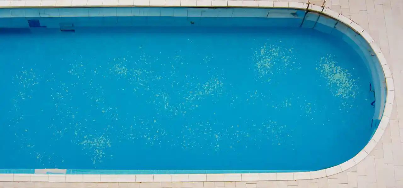 Sand in Your Pool: Why It's There and How to Remove Itthumbnail image.